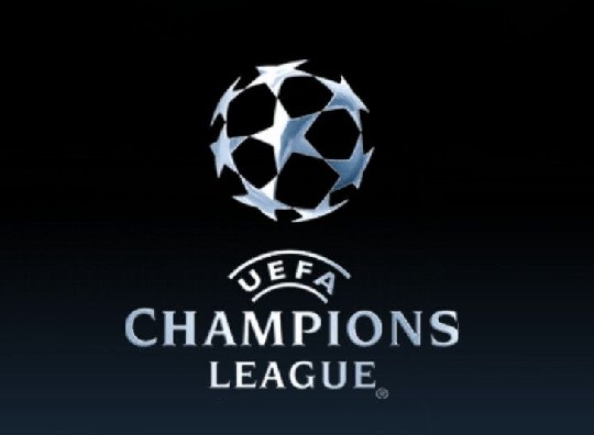 镇宁县组织 镇宁县组织